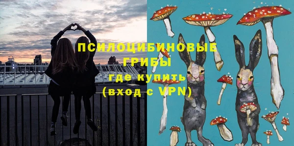 стафф Володарск